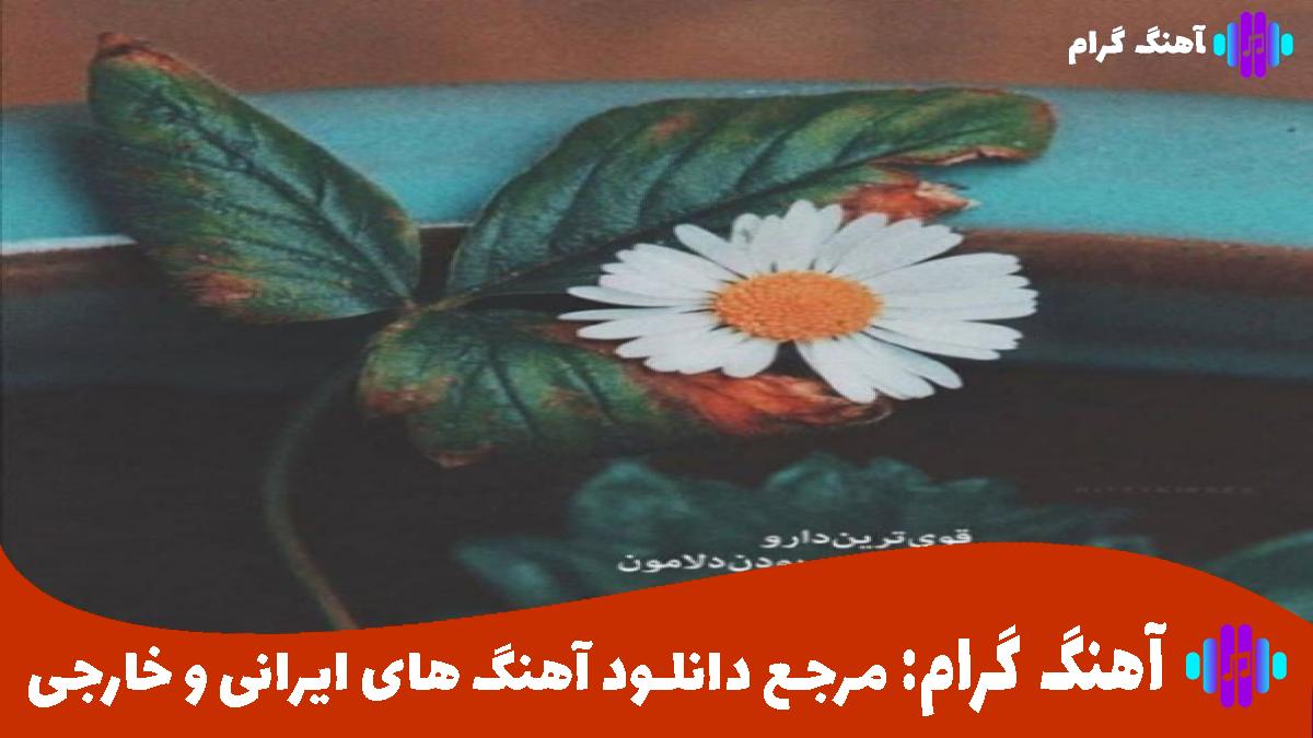 کاور آهنگ تنها میشی تکس میدی هستی از پوبون